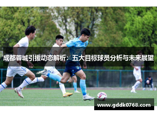成都蓉城引援动态解析：五大目标球员分析与未来展望