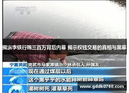 揭露李铁行贿三百万背后内幕 揭示权钱交易的真相与黑幕
