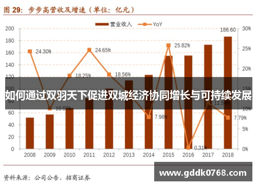 如何通过双羽天下促进双城经济协同增长与可持续发展